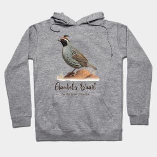 Gambel´s Quail - The Bird Lover Collection Hoodie